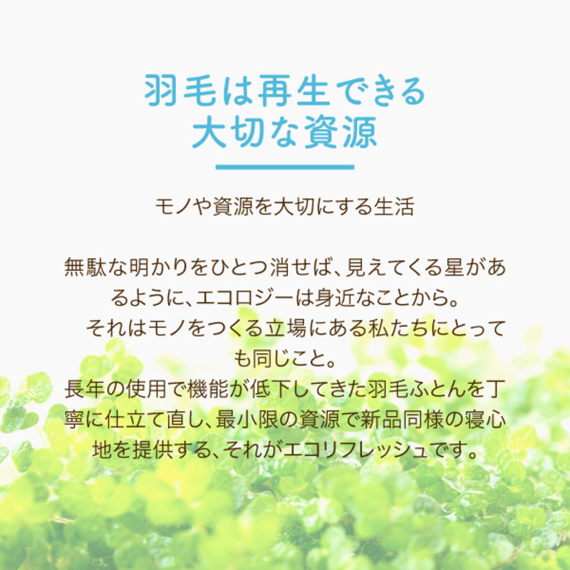 ＜ロマンス小杉＞エコリフレッシュコース（ダブル、リヨセル混、無地）