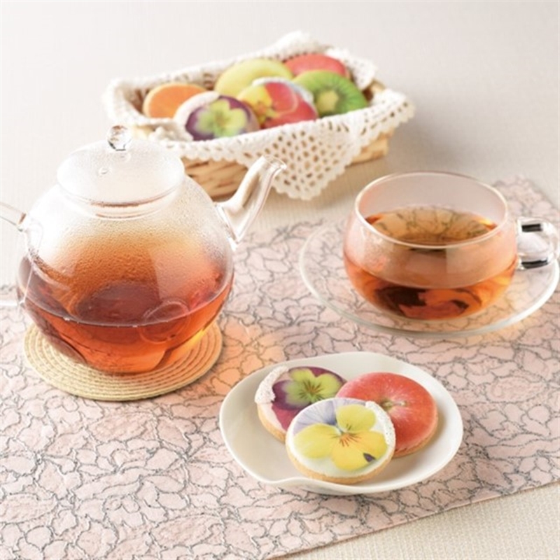 ＜沙羅＞月見草