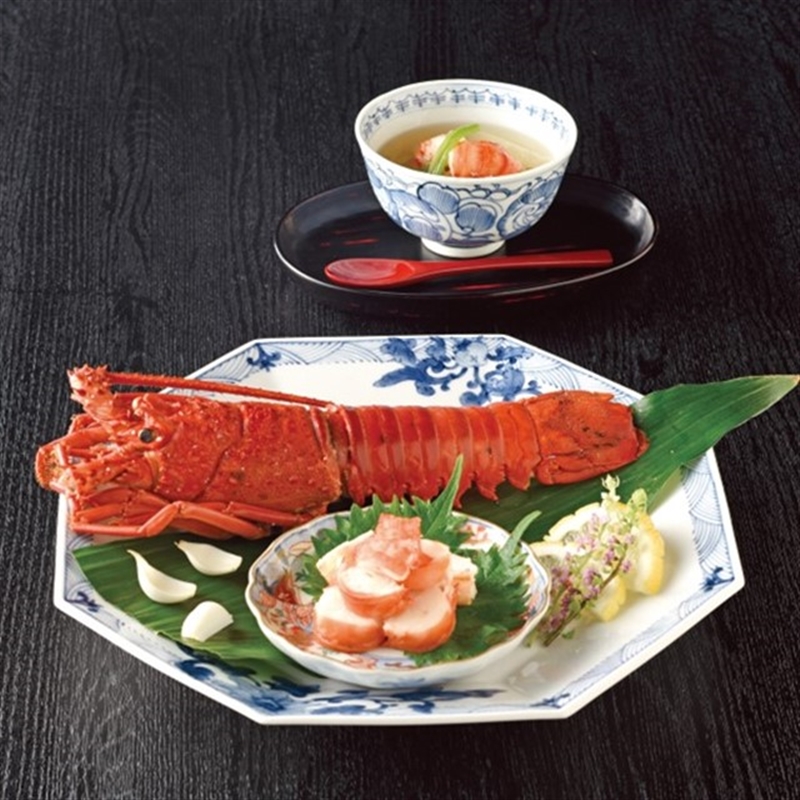 ＜沙羅＞百日草