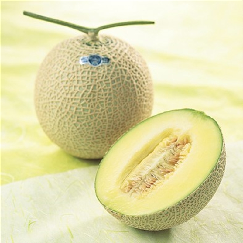 ＜ANA’s FRESH SELECTION＞麗～うるわしコース～