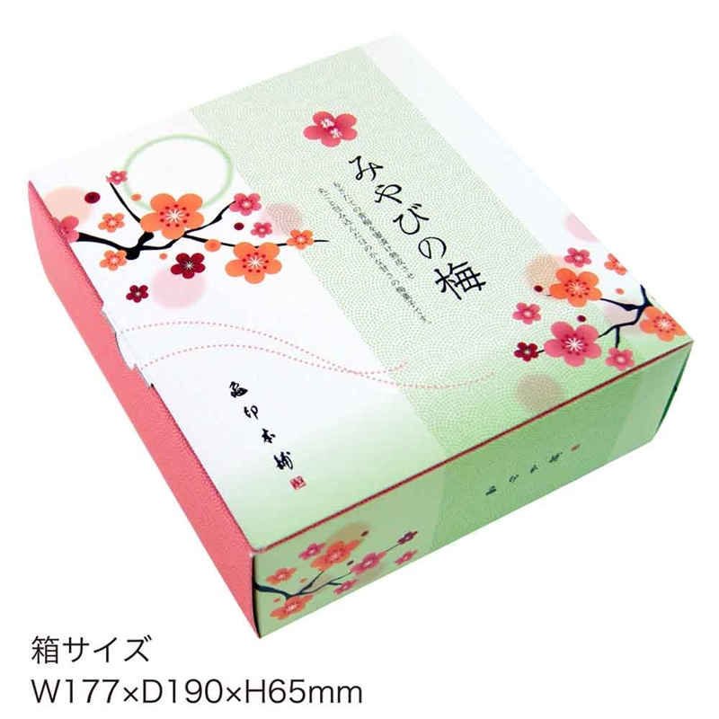 ＜亀じるし＞みやびの梅　6個入