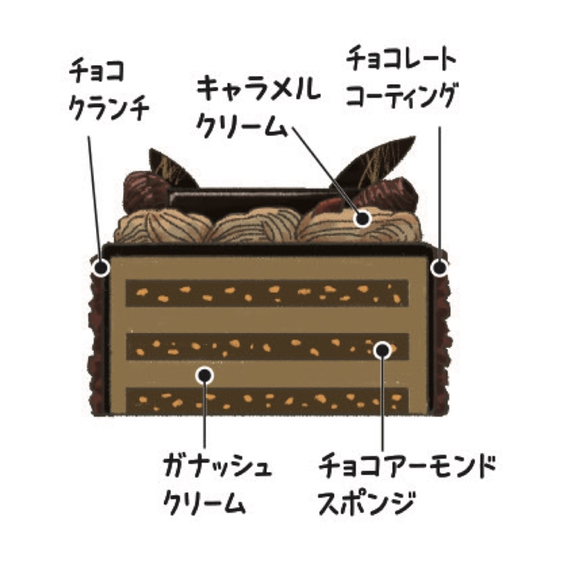 ７＜アンテノール＞ガナッシュショコラ・ノエル 12月24日(水)お渡し