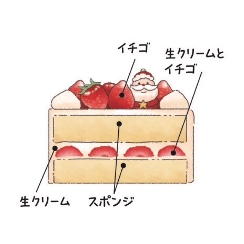 １５＜ボア・ヴィラージュ＞Ｘｍａｓ生デコレーション５号 12月24日(水)お渡し