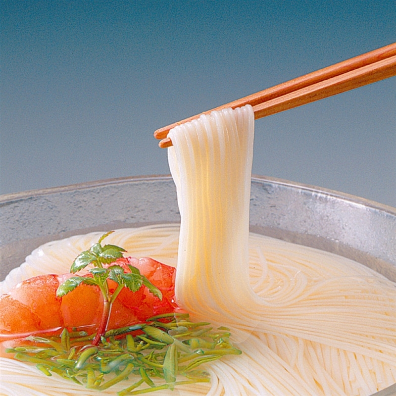 ＜寛文五年堂＞いなにわそうめん瑞寛
