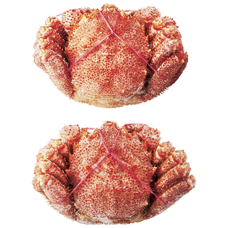 ＜ANA’s FRESH SELECTION　麗～うるわしコース～＞北海道産ボイル毛がに姿