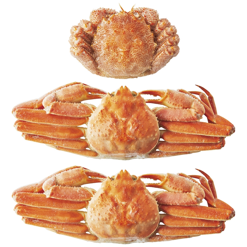 ＜ANA’s FRESH SELECTION　麗～うるわしコース～＞毛がに・ずわいがに食べ比べ