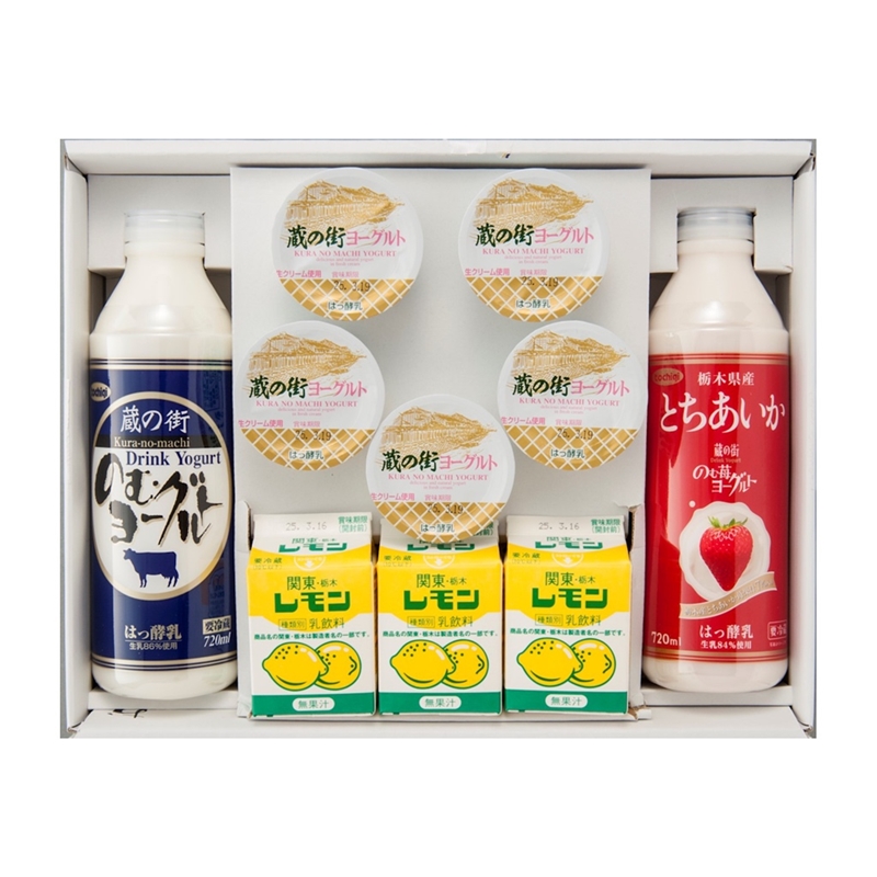 ＜栃木乳業＞ギフトセットＢ