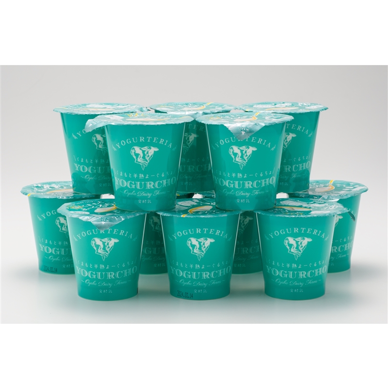 ＜オオヤブデイリーファーム＞くまもと半熟よーぐるちょ12本ギフト