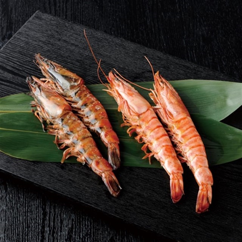 ＜ミストラル＞セーブル