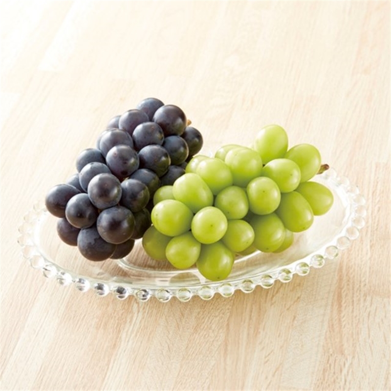 ＜沙羅＞百日草