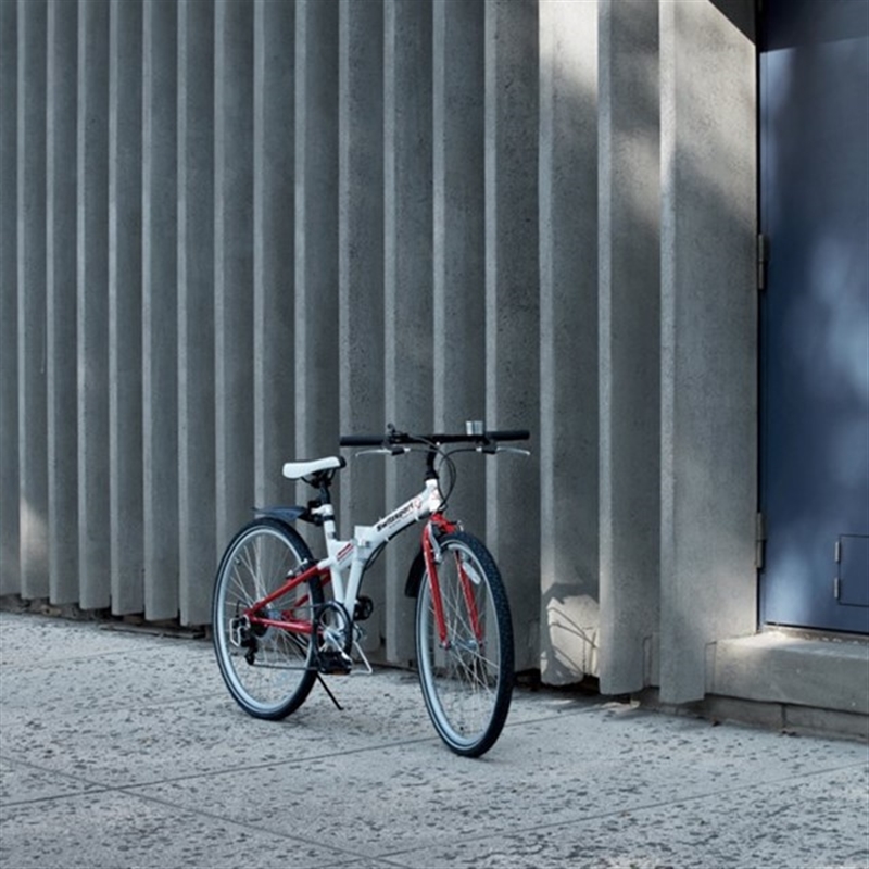 ＜沙羅＞天蓋花