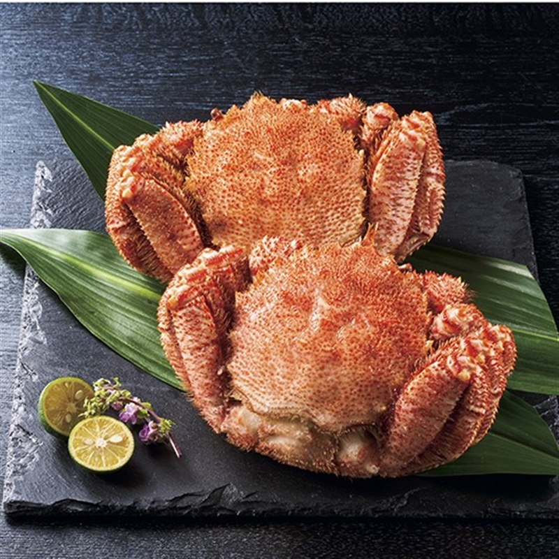 ＜ANA’s FRESH SELECTION＞輝～かがやきコース～