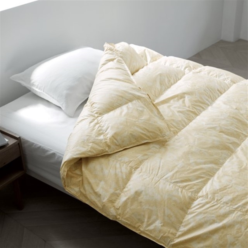 ＜ミストラル＞アンティーブ