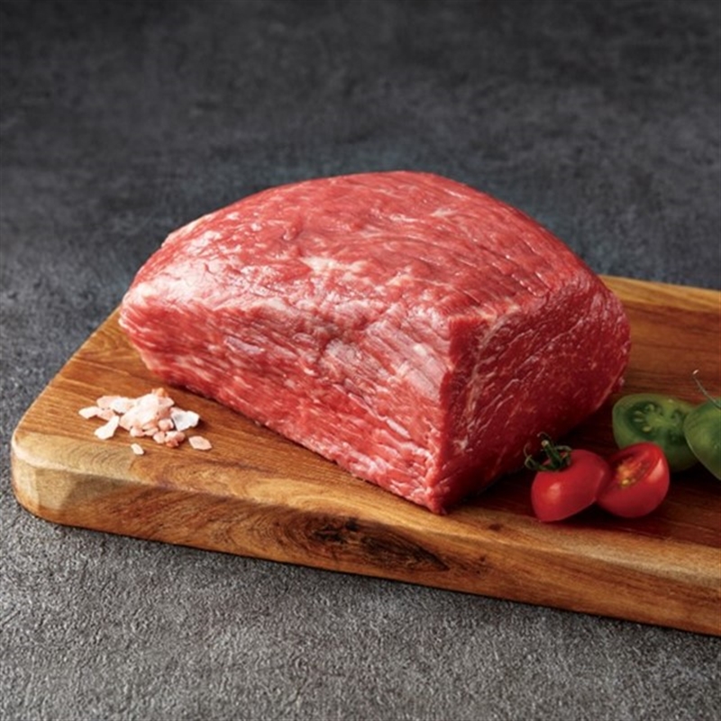 ＜沙羅＞山茶花