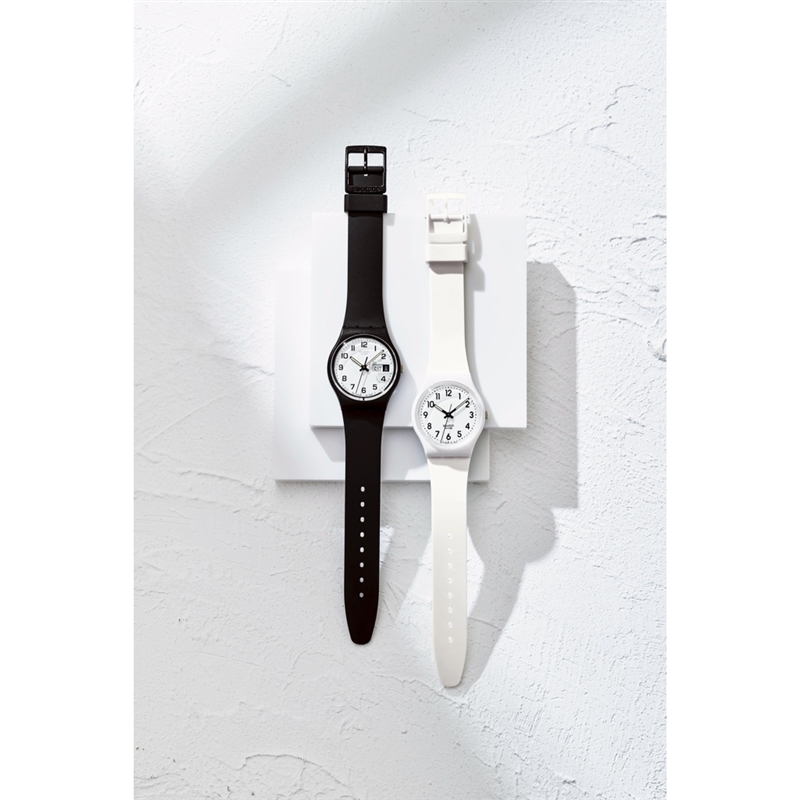 ＜プルミエ＞パシアン