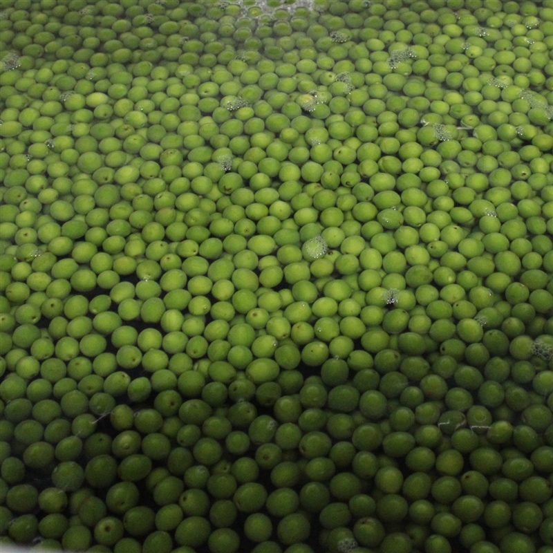 ＜明利酒類＞百年梅酒　水戸乃梅ふくゆい