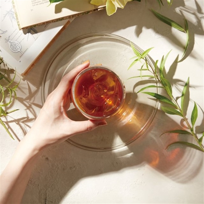 ＜ミストラル＞ソレル