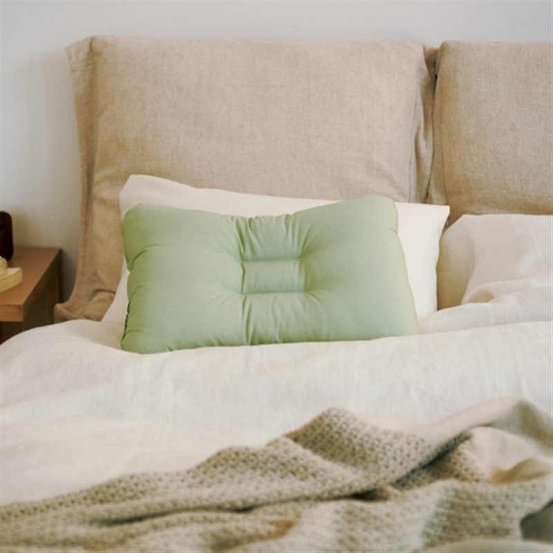 ＜ミストラル＞オレガノ