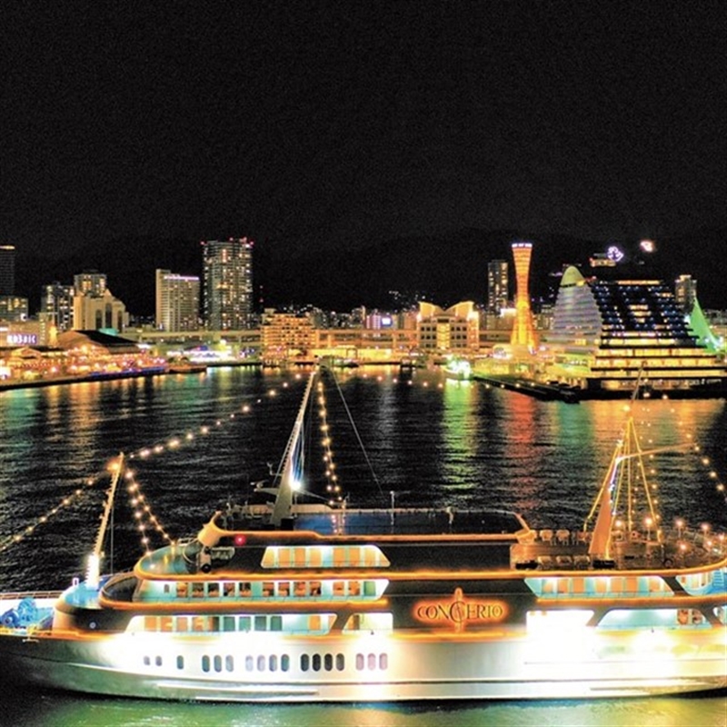 ＜沙羅＞百日草