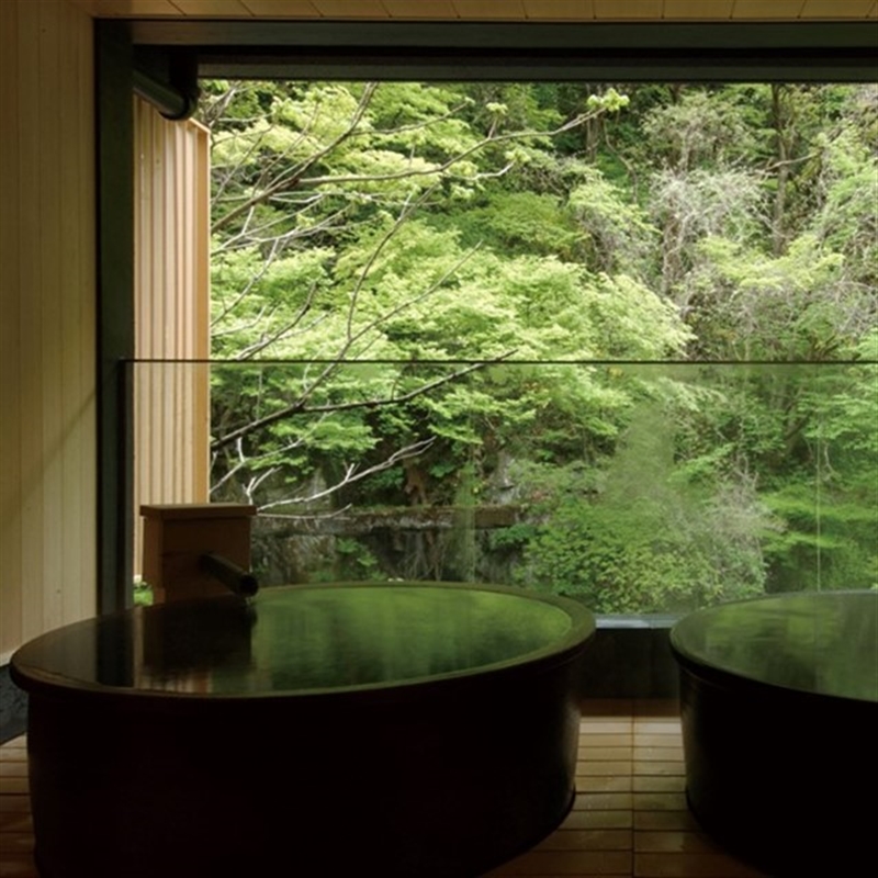 ＜沙羅＞天蓋花