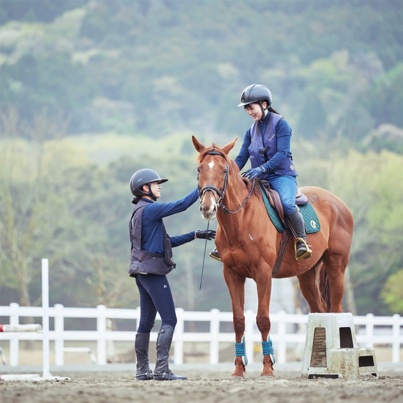 ＜プルミエ＞シャルマン