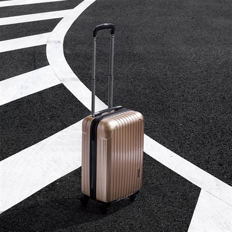 ＜沙羅＞花水木