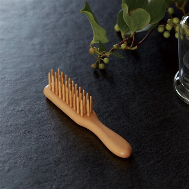 ＜沙羅＞白百合