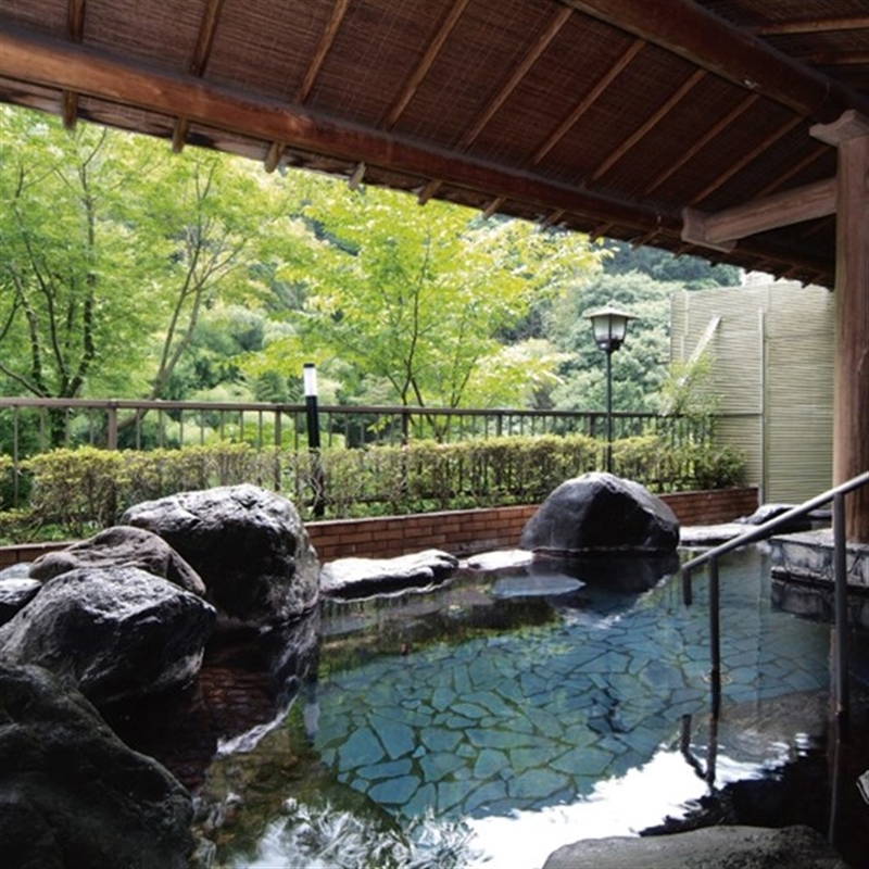 ＜沙羅＞月見草