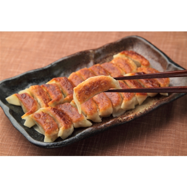 福岡県＜博多うま馬＞博多ひとくち餃子（タレ・辣油・焼き方レシピ付き）