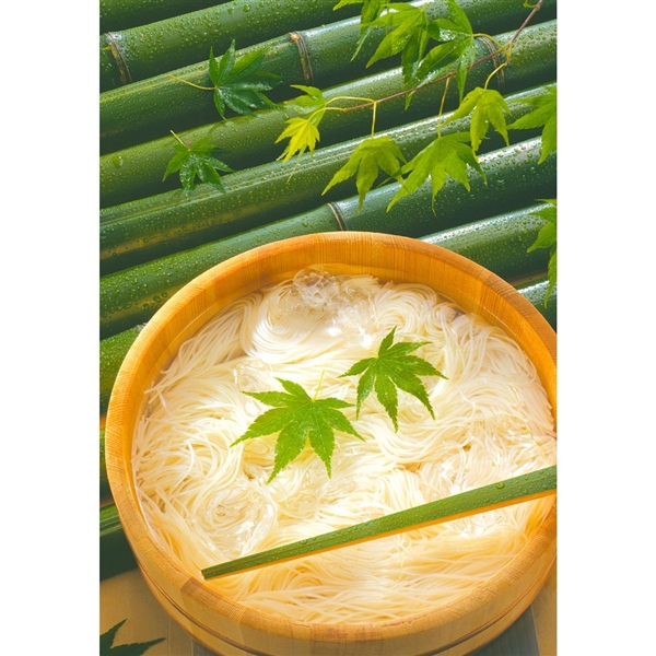 ＜寛文五年堂＞いなにわそうめん瑞寛