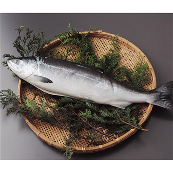 ＜藤塚＞甘塩秋鮭（新巻鮭）