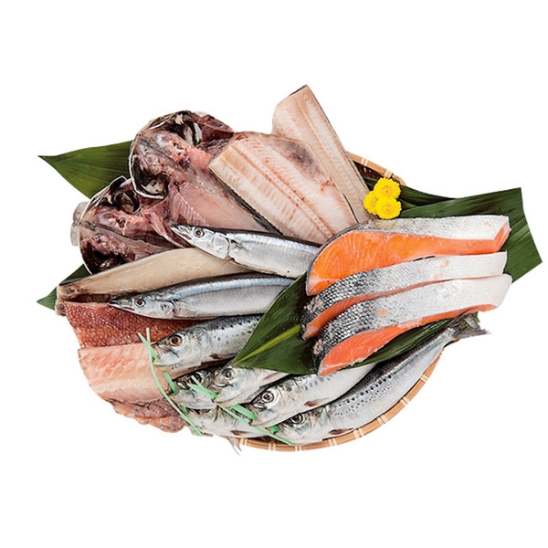 ＜魚の藤塚＞人気の干物セット