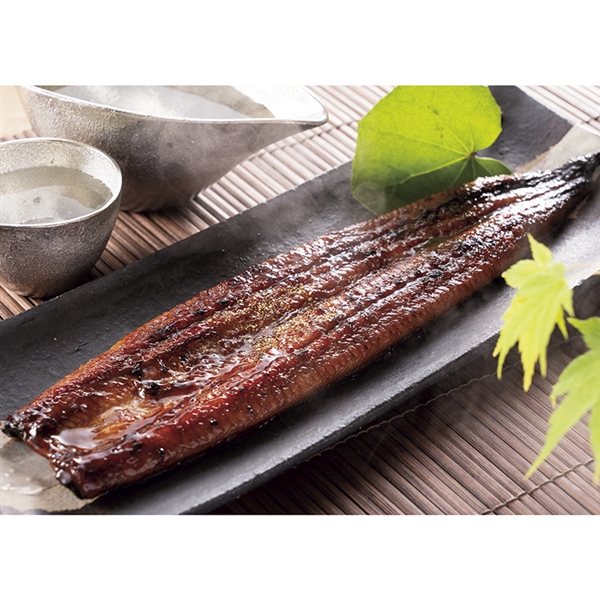 ＜ANA’s FRESH SELECTION　優～やさしさコース～＞＜薩摩川内鰻＞鹿児島県産特大鰻長蒲焼4尾セット