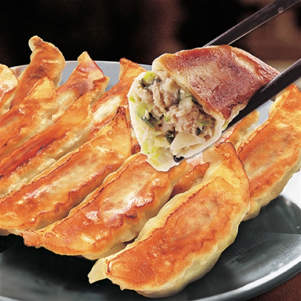＜宇都宮餃子館＞健太餃子詰合せ