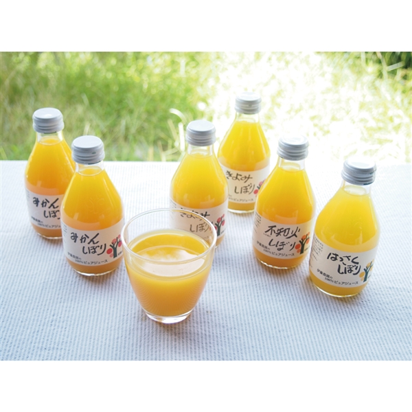 ＜伊藤農園＞100%ピュアジュース10本ギフトセット