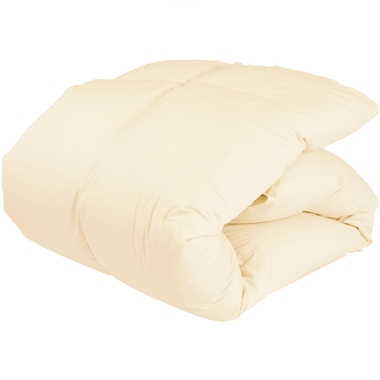 ＜ロマンス小杉＞エコリフレッシュコース（ダブル、リヨセル混、無地）