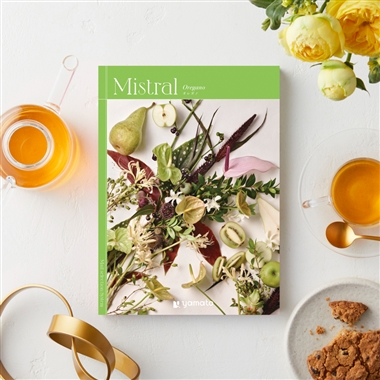 ＜ミストラル＞オレガノ