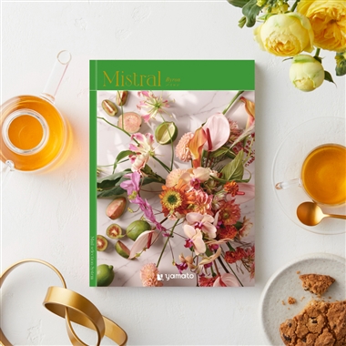 ＜ミストラル＞バイロン