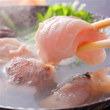 長崎県<よか魚>長崎産天然クエ鍋(クエだし付き)