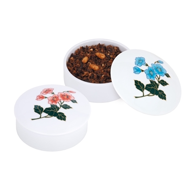 ＜錦松梅＞錦松梅　有田焼容器入