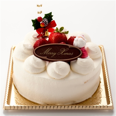 15<ボア・ヴィラージュ>Xmas生デコレーション5号