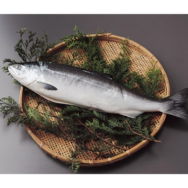 <藤塚>甘塩秋鮭(新巻鮭)