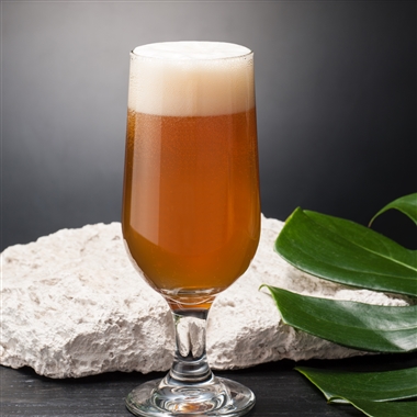 <ぬりや 大工町醸造所>クラフトビールギフトセット(バラエティ)