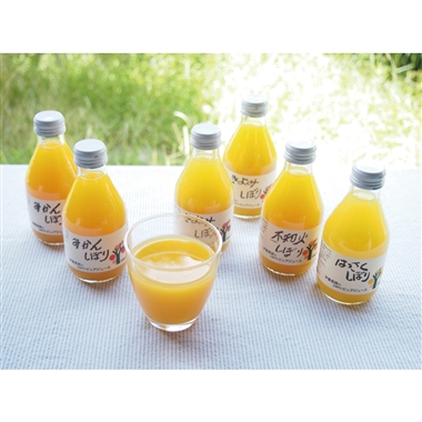 ＜伊藤農園＞100%ピュアジュース10本ギフトセット