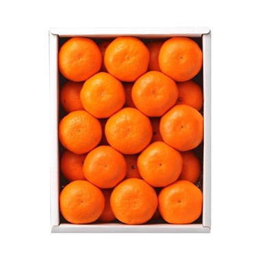 ＜新宿高野＞みかん