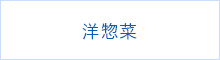 洋惣菜