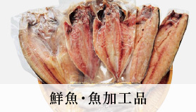 鮮魚・魚加工品