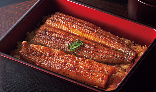 〈大和養魚〉浜名湖うなぎ蒲焼