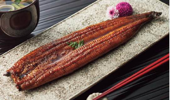 〈大和養魚〉浜名湖うなぎ長蒲焼