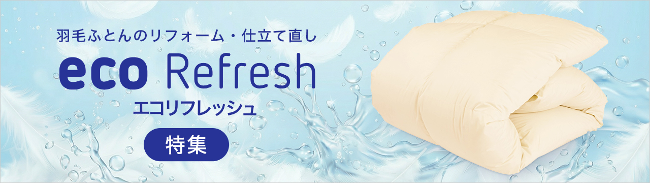 エコリフレッシュ特集